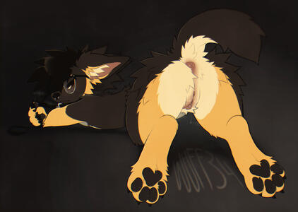 wuff34 personal