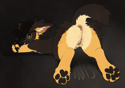 wuff34 personal
